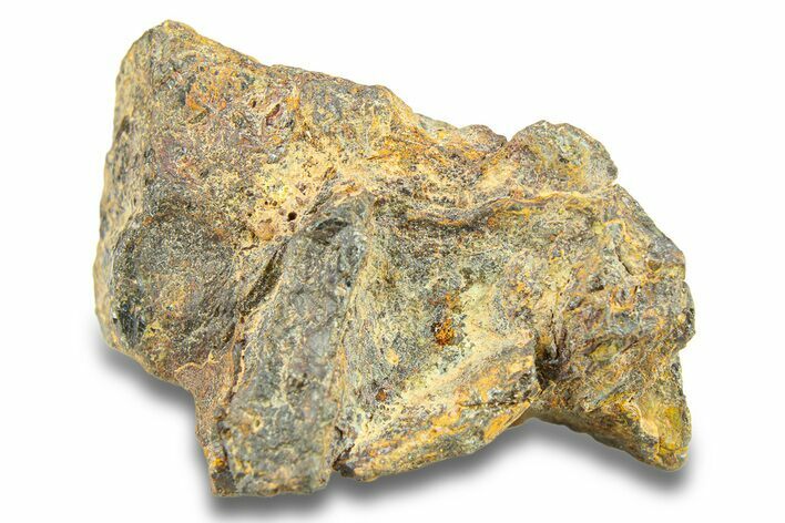 Pallasite Meteorite ( g) - NWA #281386